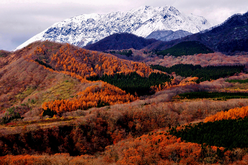 初冠雪・裏大山