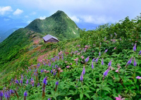 天空の花園