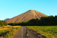 大山に伸びる道