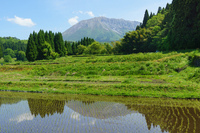 田植えの時期