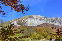 私の好きな秋の大山