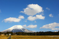 ぽっこり雲と春先の大山