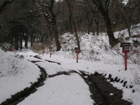 雪の大神山神社参道