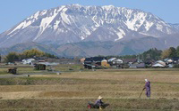 早春の大山山麓