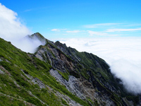 頂上から望む雲海