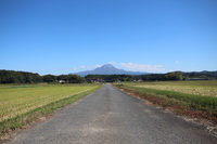 大山さんへと続く道