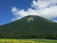 大山とひまわり