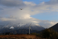 白雪の大山北壁