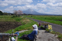 ほっと一息