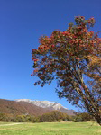 秋の奥大山