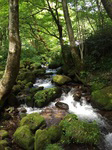 奥大山の美しい水