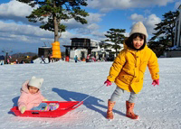 初めての大山