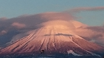 薔薇色の大山