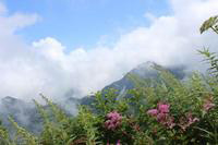 夏の伯耆大山