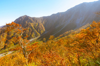 紅葉登山