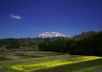 大山に春がきた