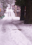 雪降る参道