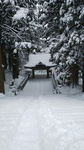 師走の雪景色