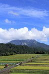 大山の恵み