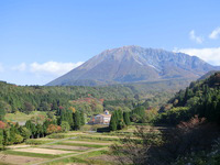 リゾートホテル！のような景色