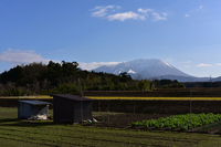 パン屋の帰りの大山さん