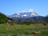 春の大山