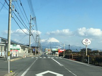 鳥取の守り神