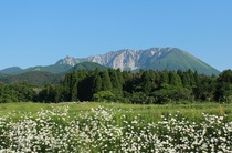 初夏のひと時