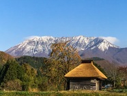 初冬の大山と茅葺き小屋と柿