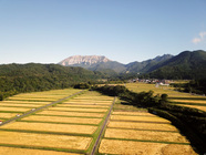 奥大山の四季(御机圃場)