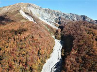 大山一の沢の紅葉