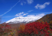 初冠雪