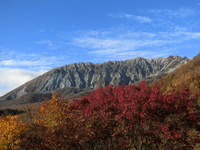 右肩上がりの「大山」の紅葉