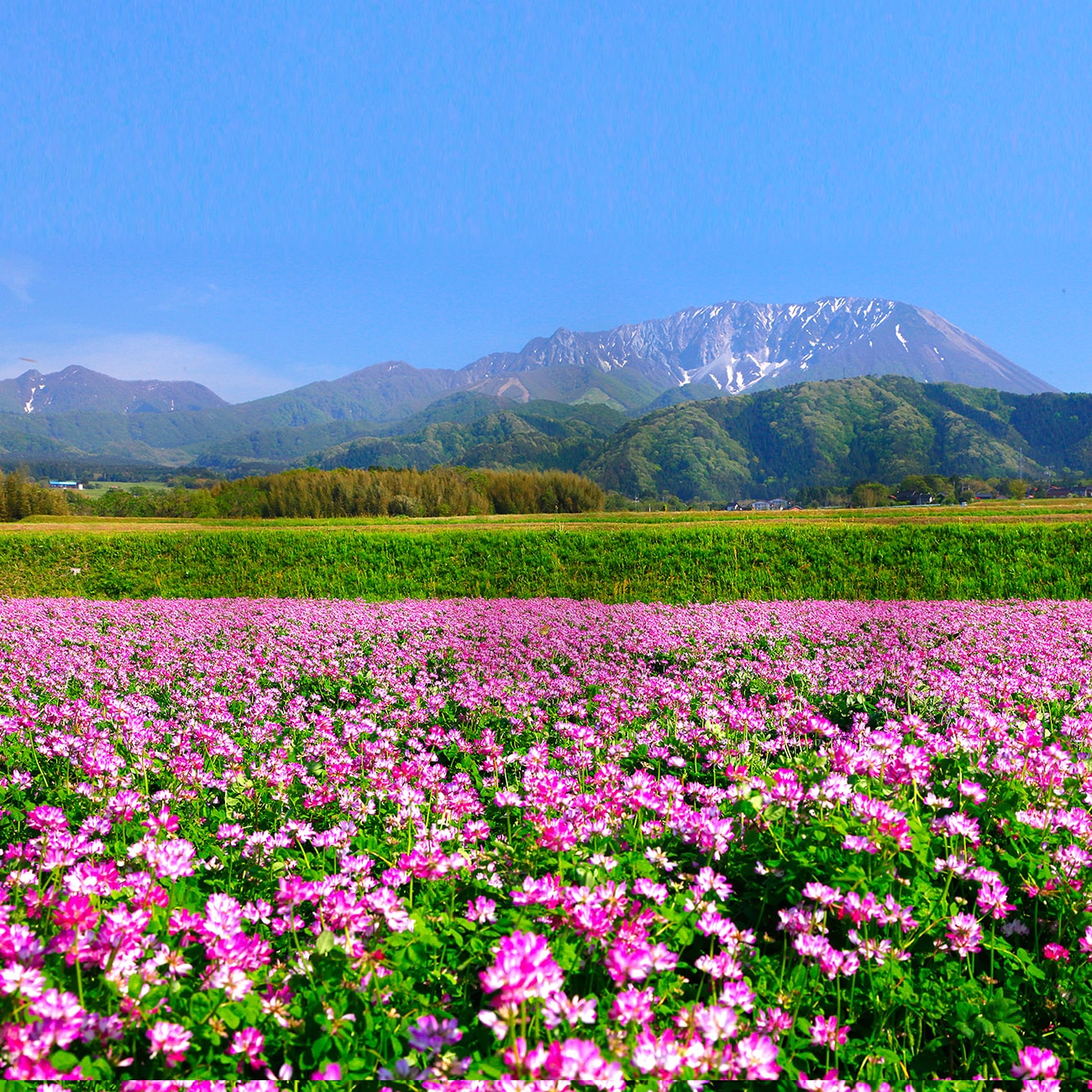 大山開山1300年祭