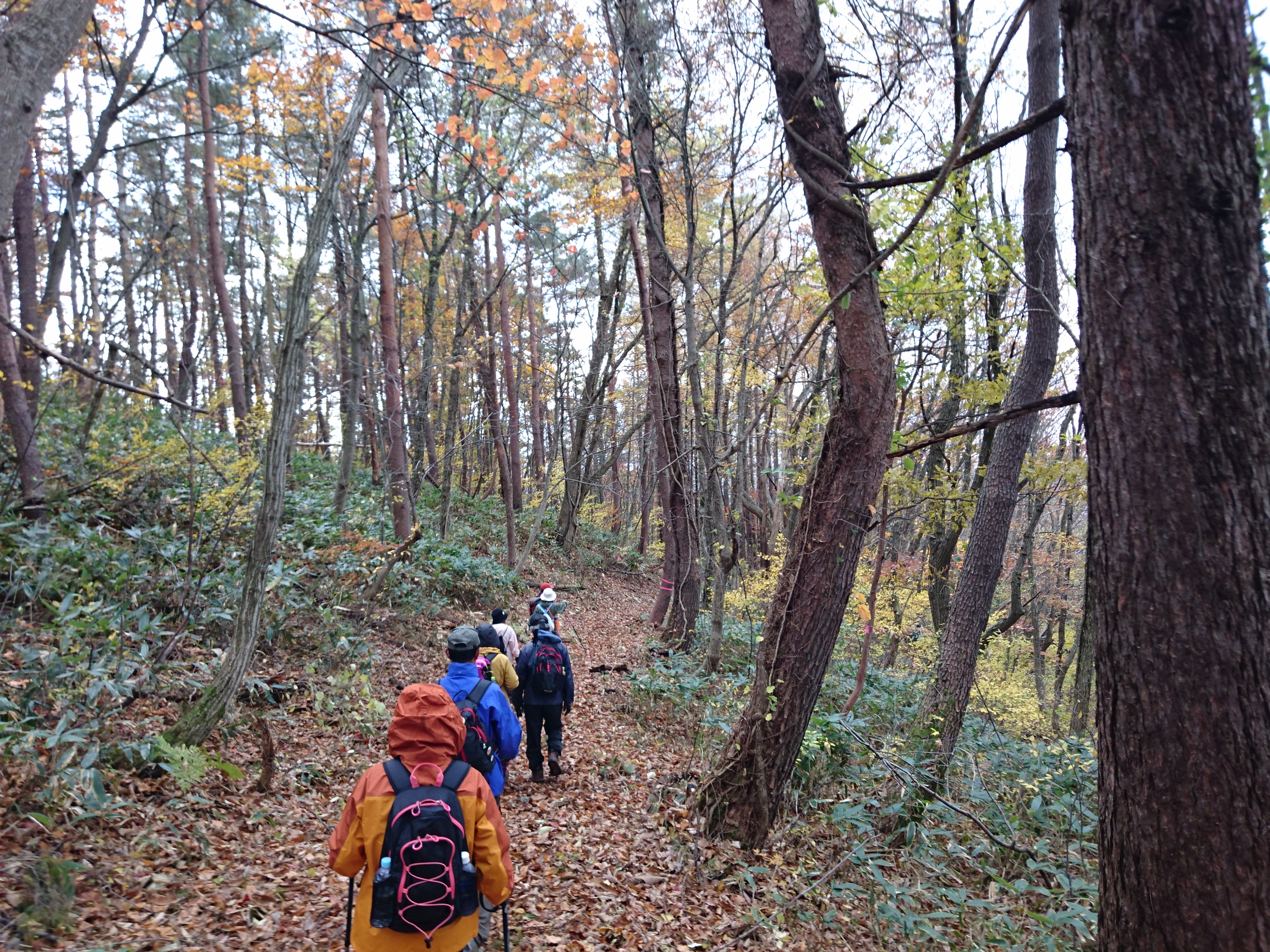 奥大山古道.JPG