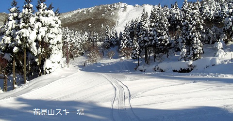 花見山.jpg