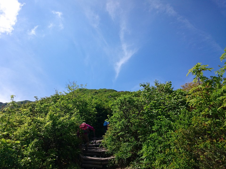 夏山登山