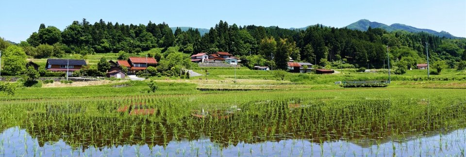 1_中国山地の稜線「天体の植民地」風景.jpg