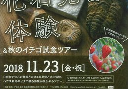 イベント