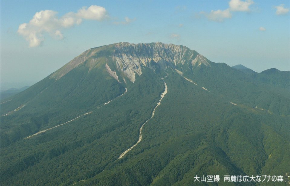 ７、大山空撮　南麓は広大なブナの森.png