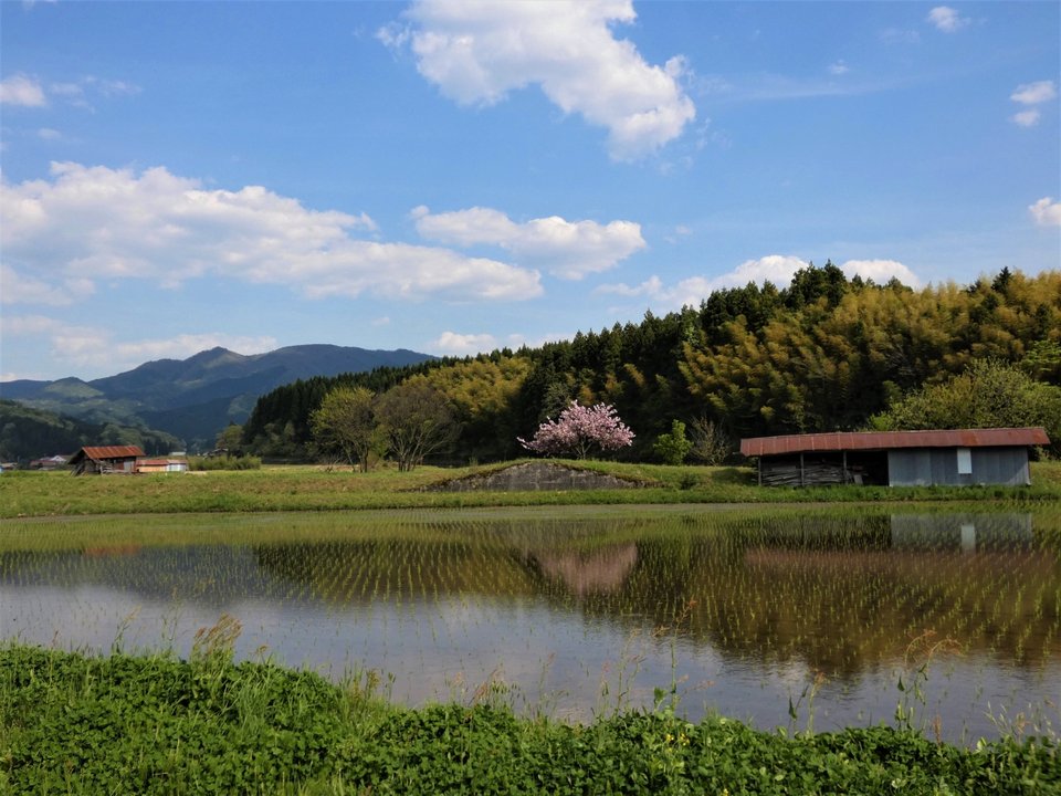 1_奥出雲鳥上から望む船通山.jpg